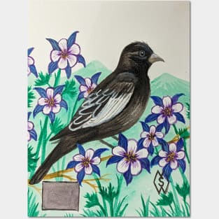 Colorado state bird and flower, the lark bunting and Rocky Mountain columbine Posters and Art